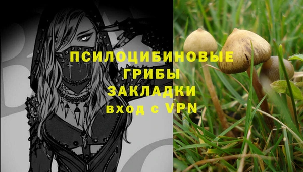 соль ск Заволжск