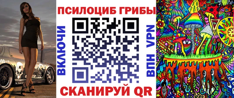цены наркотик  KRAKEN маркетплейс  Псилоцибиновые грибы прущие грибы  Зубцов 