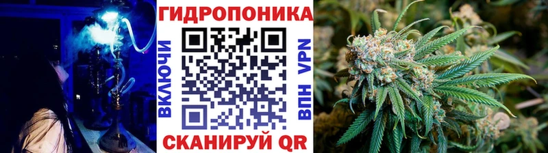 Каннабис сатива Зубцов